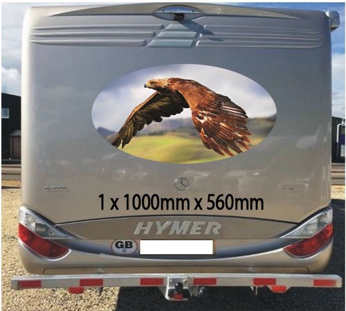 Eagle 1000mm graphics stickers - graphics,
