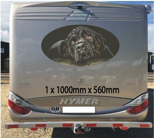 Black rottweiler 1000mm - black,