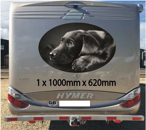 Black labrador 1000mm graphics - 1000mm,