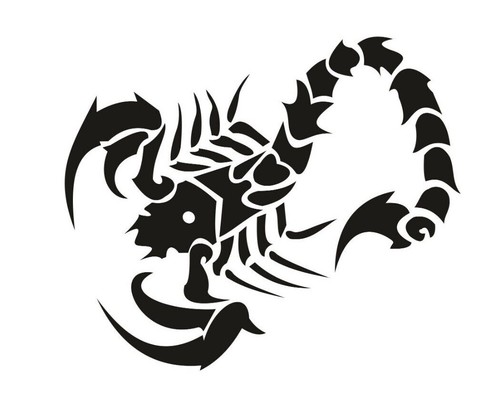 Scorpion decal sticker car and - decal,